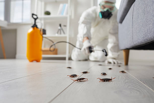 Trusted Fumigation Services service in Venice Gardens, FL - Nex Pest Control