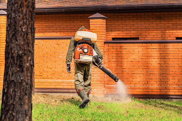 Trusted Cockroach Control service in Venice Gardens, FL - Nex Pest Control